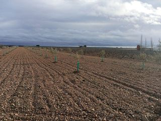 Terreno en venta en Puebla de Almoradiel (La)