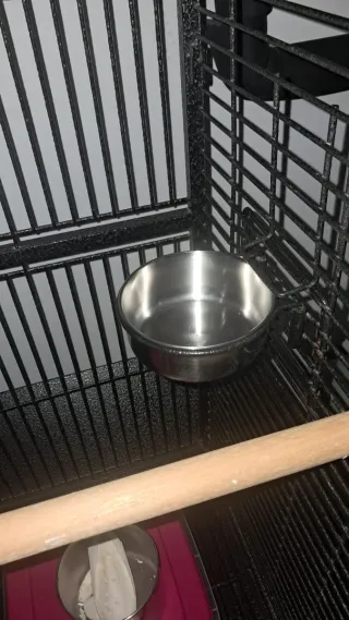 Jaula grande para pájaros