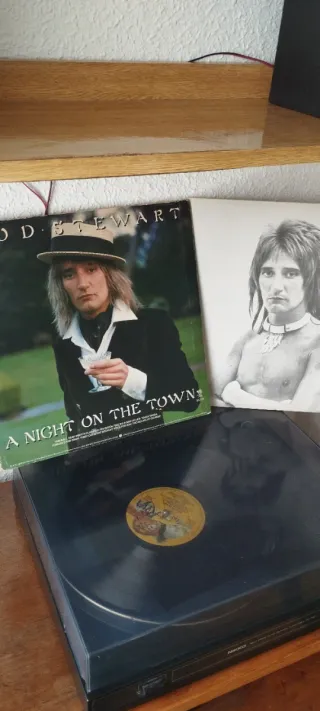 Rod Stewart - A Night on the Town Vinilo