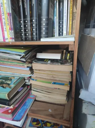 LOTE de 25 libros