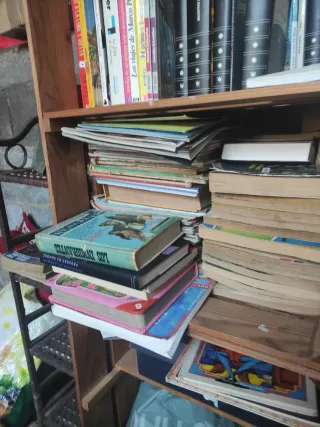 LOTE de 25 libros