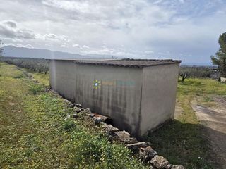 Terreno en venta en Benigánim