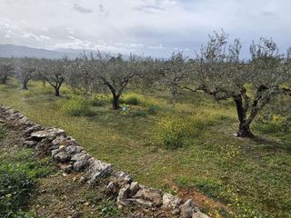 Terreno en venta en Benigánim