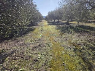 Terreno en venta en Benigánim