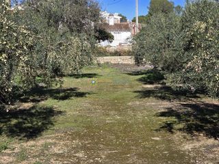 Terreno en venta en Benigánim