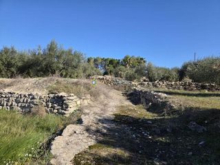 Terreno en venta en Benigánim