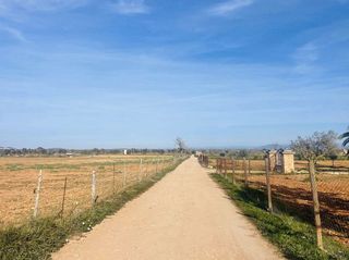 Solar en venta en Campos