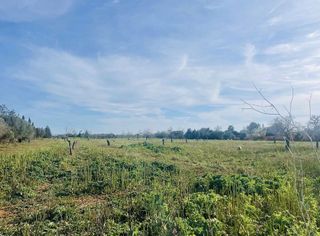 Solar en venta en Campos