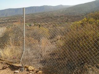 Terreno en venta en Arafo