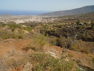 Terreno en venta en Arafo