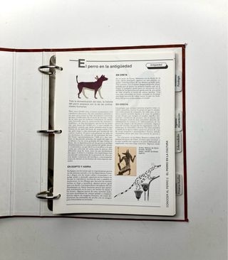 Archivador << Mis Amigos los Perros >>