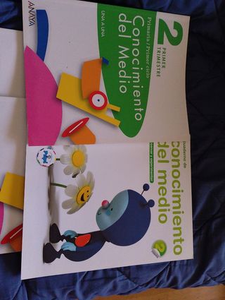 L2bros de Primaria, 3 Trimestre. Conec