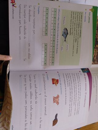 L2bros de Primaria, 3 Trimestre. Conec