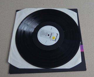 STEVE VAI "FLEX-ABLE" (LP VINILO)