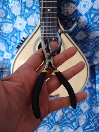 Mandolina Antonio Pinto de Carvalho MDL30 L