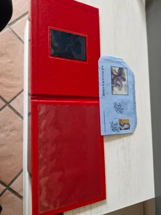 Aerogramma Poste Vaticane Raffaello Sanzio