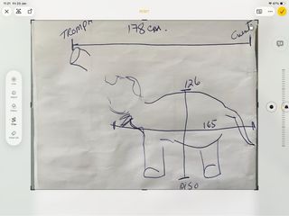 Elefante Bebé Escultura Realista