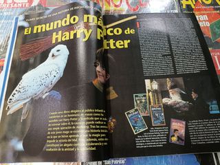HARRY POTTER Y EL SEÑOR DE LOS MILAGROS