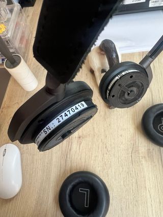 Auriculares Bang & Olufsen Negros/Plateados