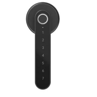 Manilla electrónica con teclado y huella