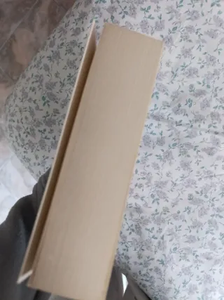 Los pedazos que quedan de nosotros. Natalia Brown