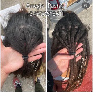 Arreglo Rastas