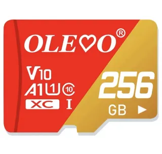 ✅️Tarjeta Micro SD 256GB OLEVO V10 A1