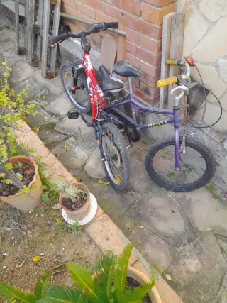 Lote 4 Bicicletas