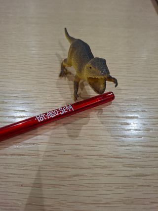 Juguetes 7 animales de goma