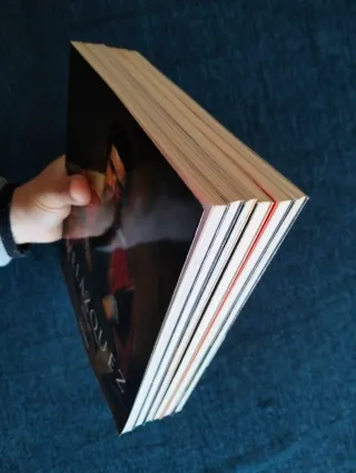 Lote revistas de Arte Taschen.