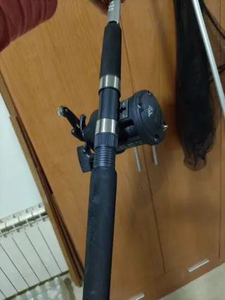 Caña de pescar con carrete y red