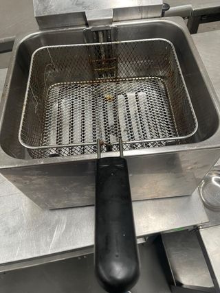 Freidora Eléctrica Profesional Un Seno