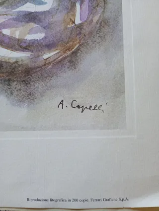 Litografia Angelo Capelli "NATIVITÀ"