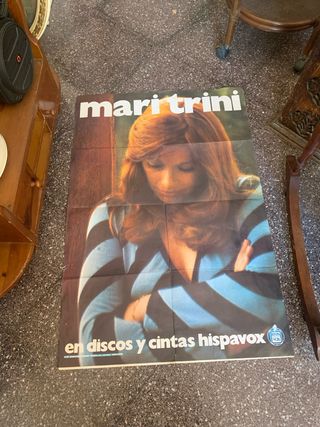 Póster Mari Trini