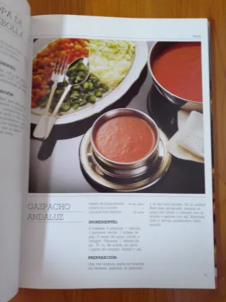 Libro de cocina: El buen cocinar de Iber