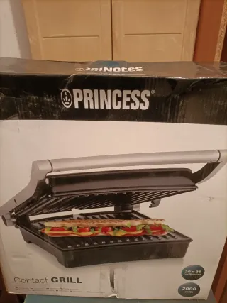 Grill Princess 112508