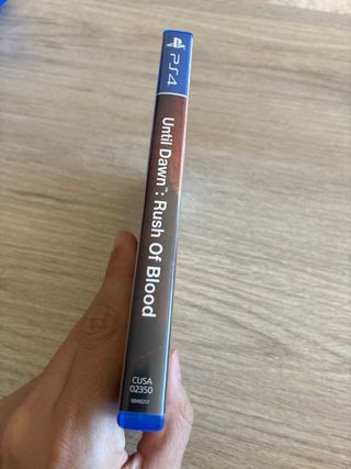 Until Dawn: Rush of Blood PS4 VR