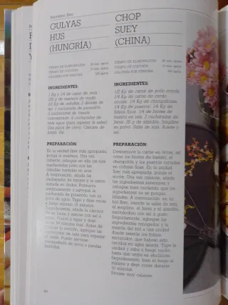 Libro de cocina: El buen cocinar de Iber