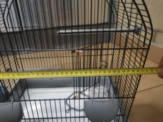 2 Jaulas para pájaros