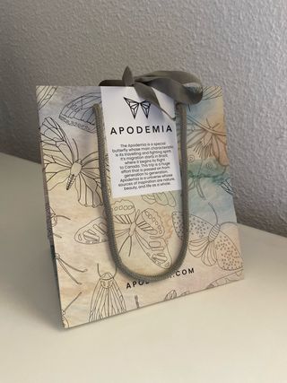 Pendientes Aro Lobe Apodemia (baño oro 18kt)