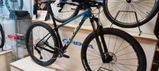 Coluer Poison SL 4.4 29 CARBON