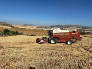 Cosechadora New Holland L521