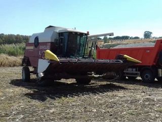 Cosechadora New Holland L521