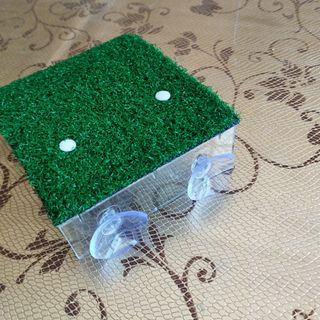 Piattaforma Rampa Tartaruga con Supporto Tartarughe