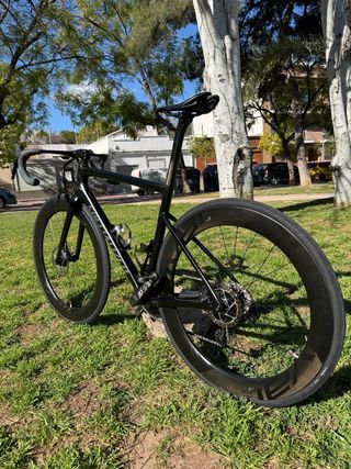 Specialized Tarmac Pro Disc Sl6 Talla 54