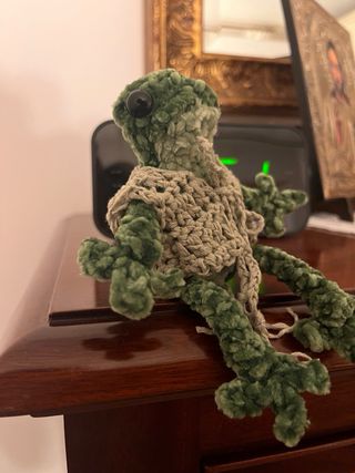 Rana all'uncinetto con gilet