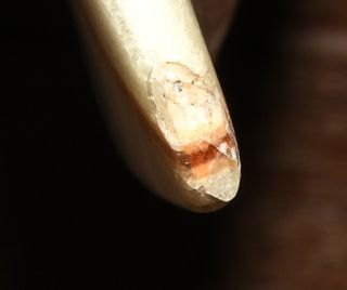 Tabla de surf Kream TAZ