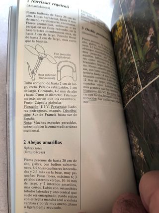 Libro Plantas del mediterraneo