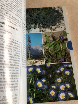 Libro Plantas del mediterraneo