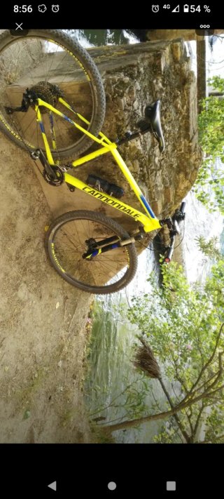 Bicicleta de Montaña